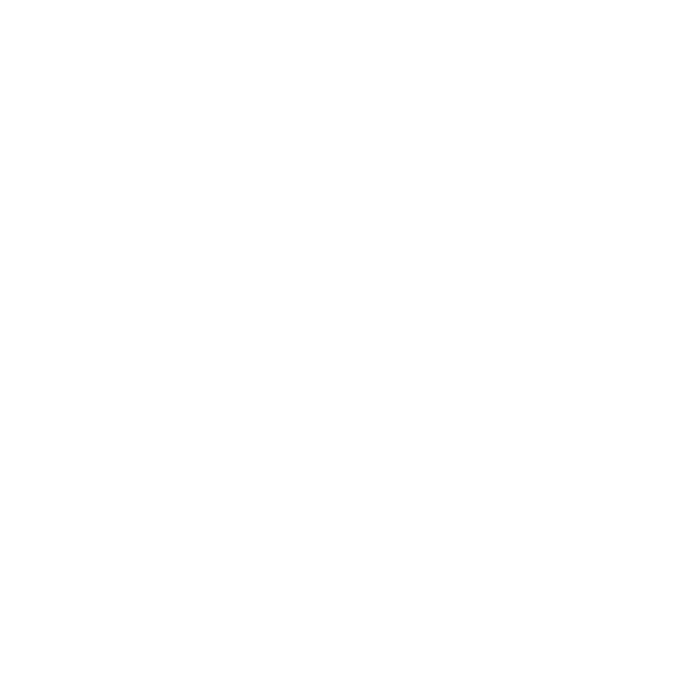 Cityssan Nissan